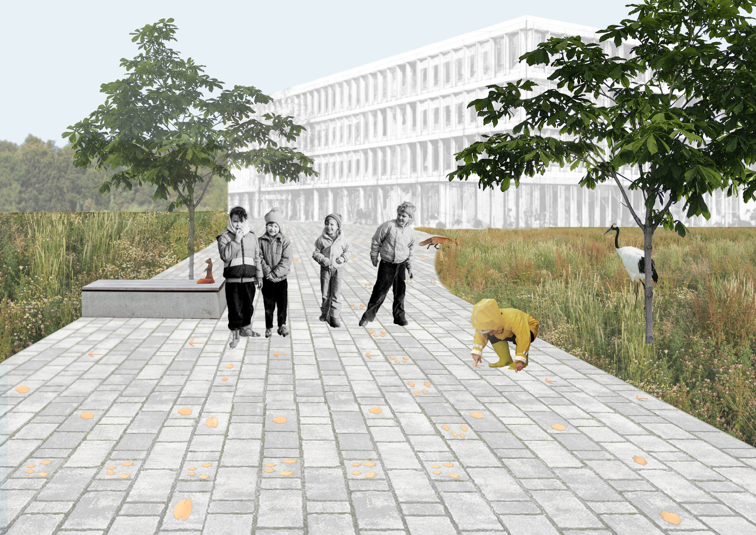 war da wer? – Ein Wildwechsel.