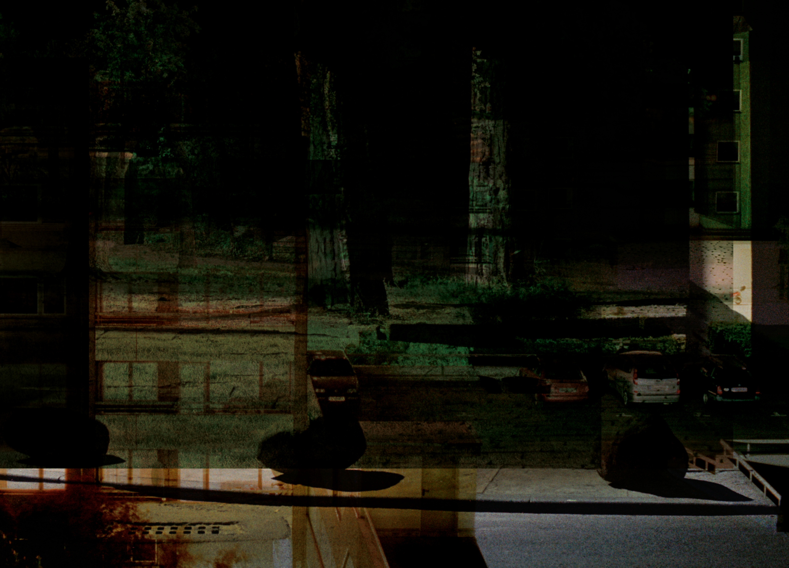 everthing is illuminated  – on the works of petra spielhagen.